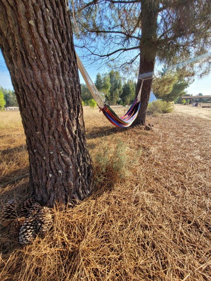 ホテル Goodmuda Tipi'S Grândola エクステリア 写真
